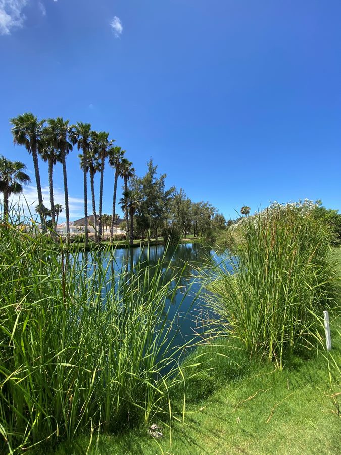 Golf Las Américas, Tenerife