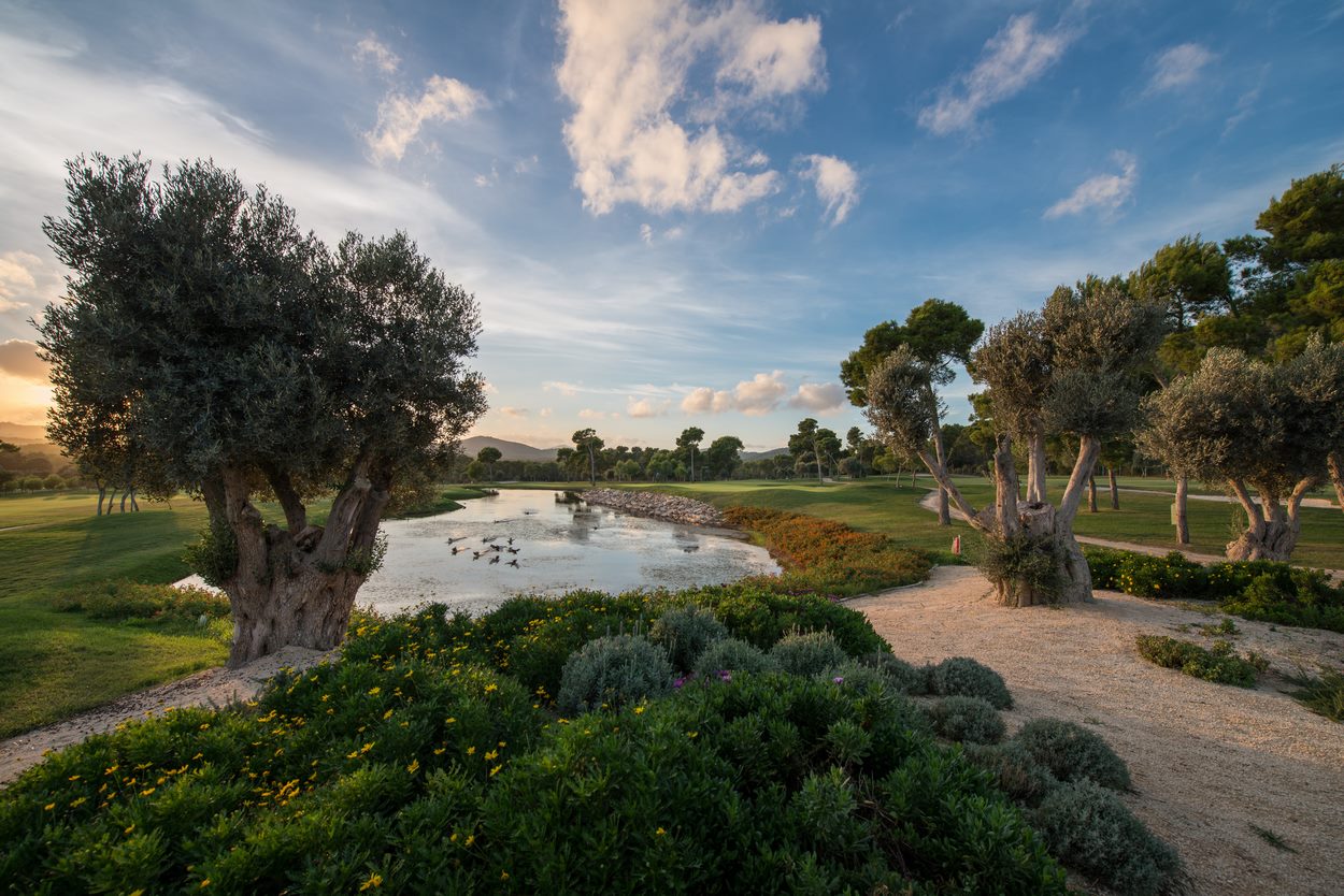 Golf Son Servera, Mallorca