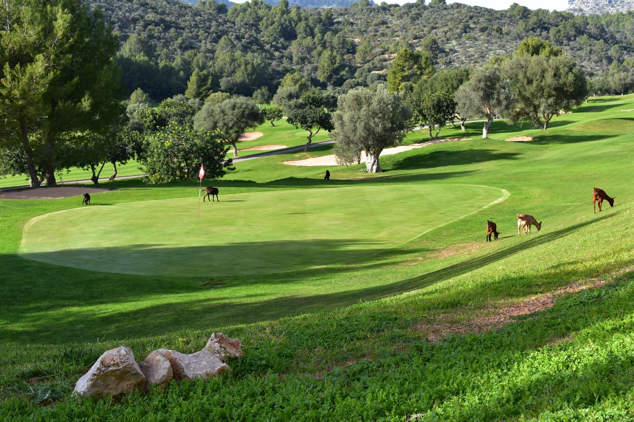 Golf Son Termens, Mallorca